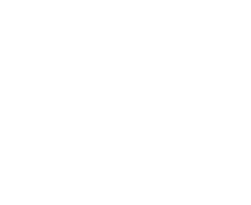 BORYSAT